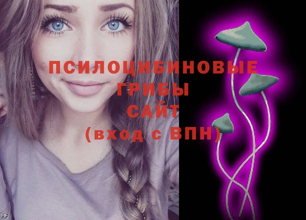 мескалин Медвежьегорск