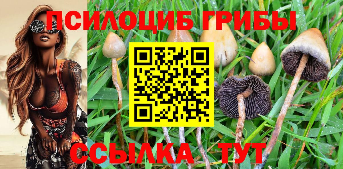 Анжеро-Судженск  Псилоцибиновые грибы GOLDEN TEACHER  закладка  Вход с VPN  Псилоцибиновые грибы Psilocybine cubensis 